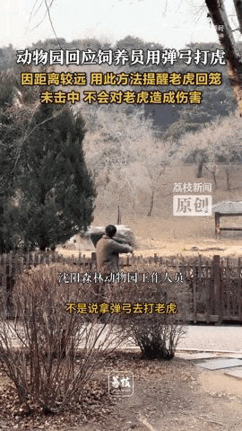 弹弓射老虎1.jpg