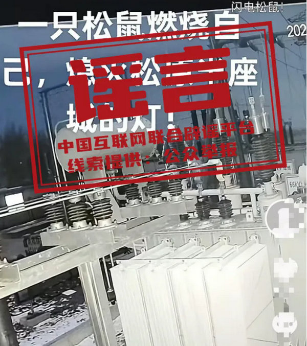 松鼠.webp.jpg 松鼠.webp.jpg