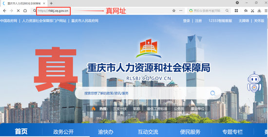 假网站2.jpg