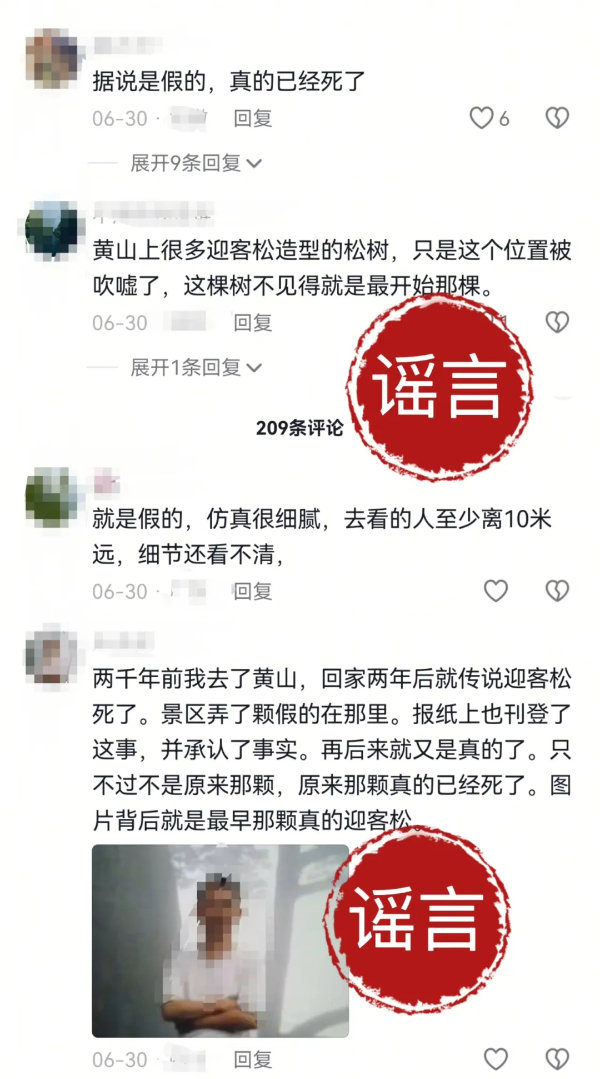 黄山迎客松1.jpg