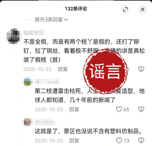 黄山迎客松2.jpg