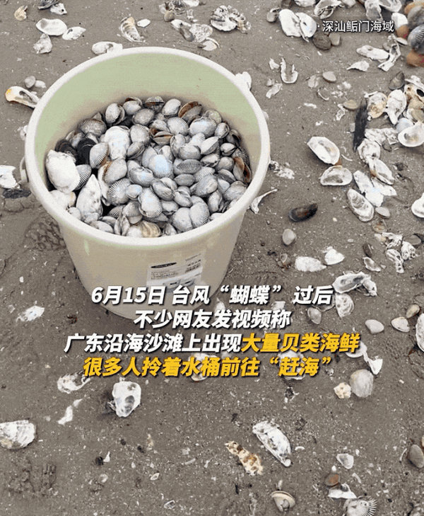 生蚝1.jpg