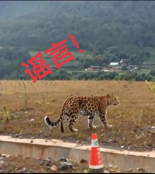 网络谣言2.jpg
