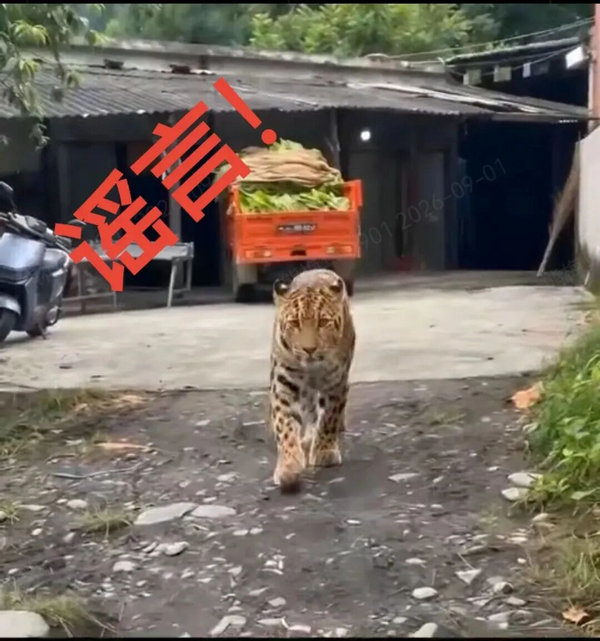 网络谣言3.jpg